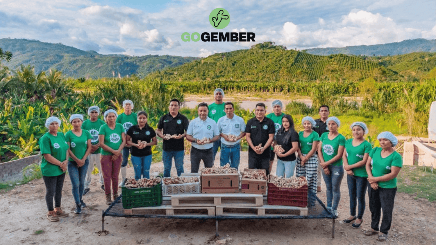 Welk land komt gember vandaan?