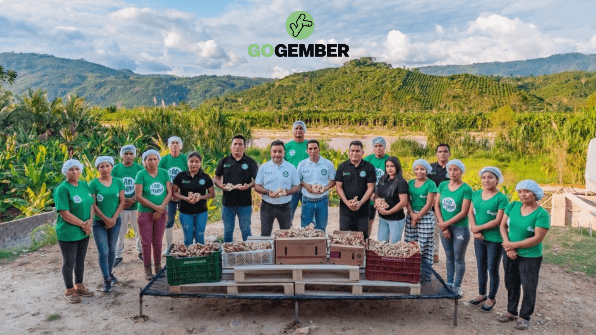 Welk land komt gember vandaan?