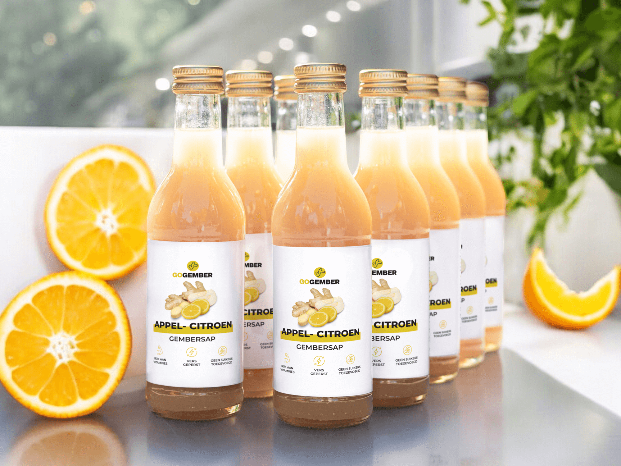 APPEL- CITROEN GEMBER