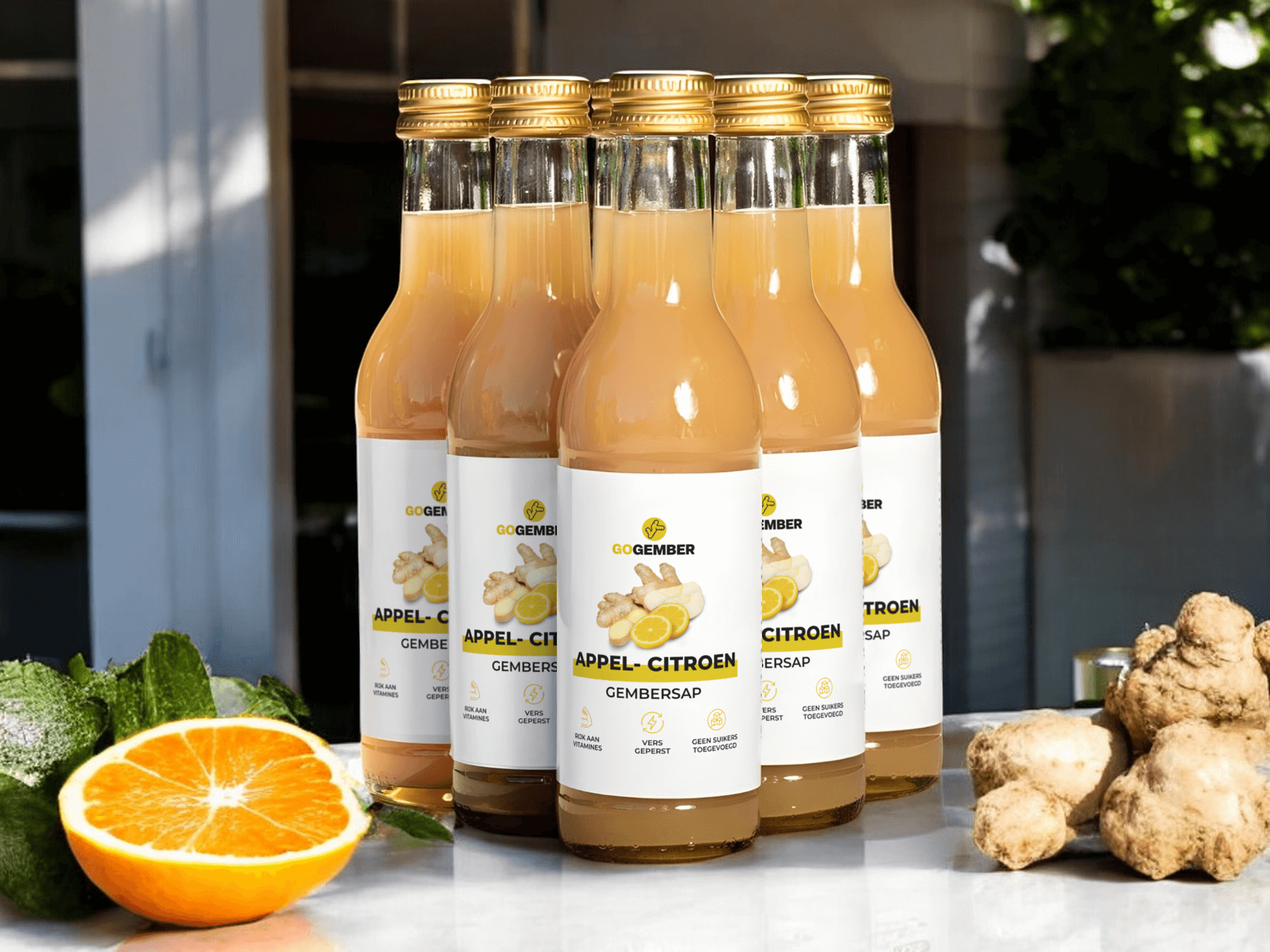 APPEL- CITROEN GEMBER