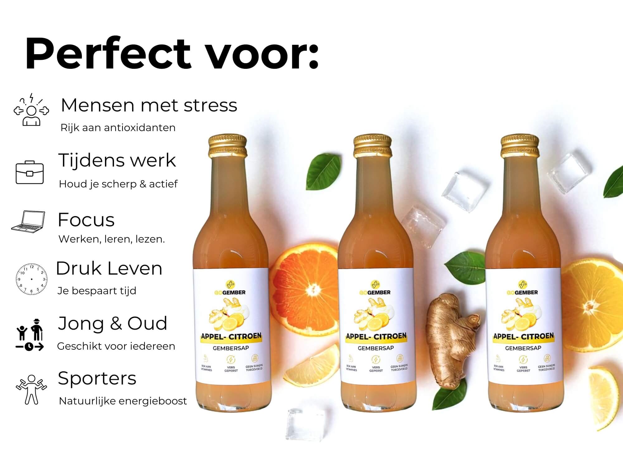 APPEL- CITROEN GEMBER