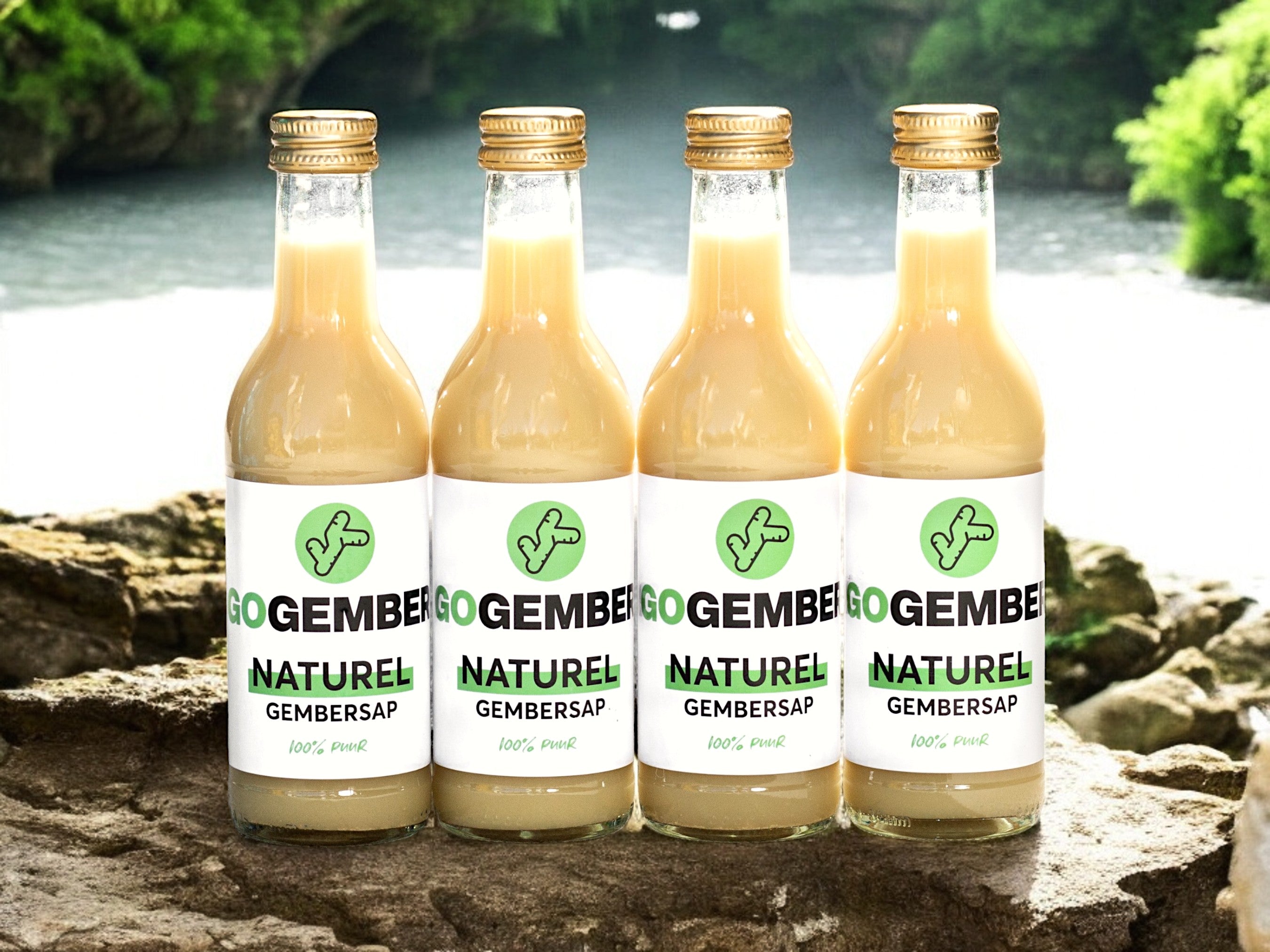 100% Pure Gembersap 4x - Gezond - Gember - Lekker , Gemberthee, Gembershots, Gezondheid, Gembershot, Go Gember