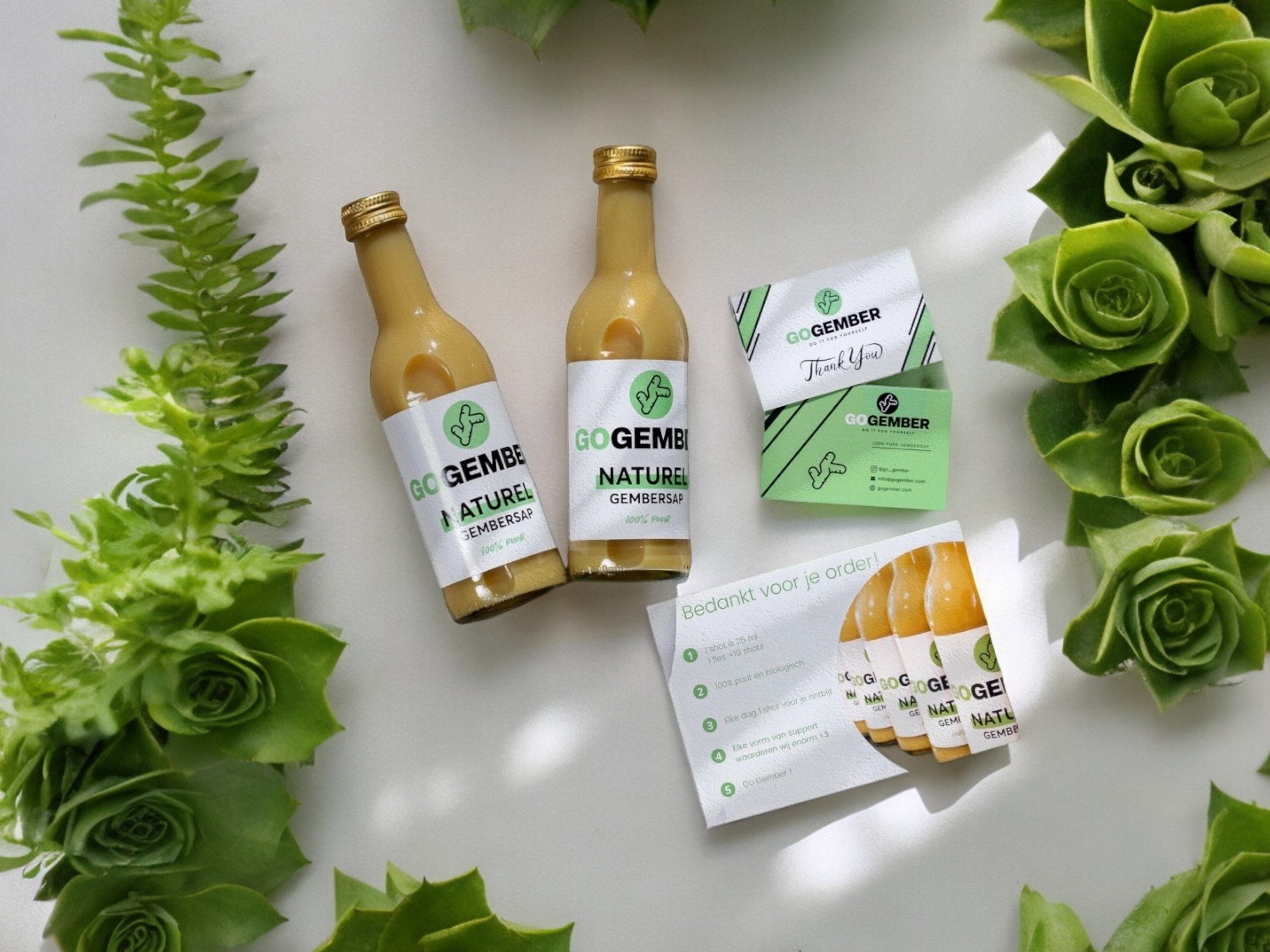 2x Gember - 100% PUUR